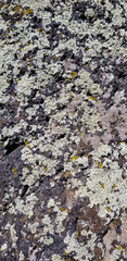 Abstract authentic authentic colored old stones backgrounds