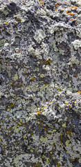 Abstract authentic authentic colored old stones backgrounds