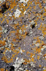 Abstract authentic authentic colored old stones backgrounds