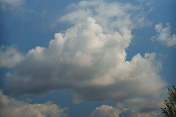 Obraz premium clouds in the sky