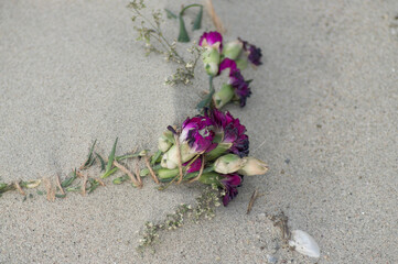 flowers on the sand