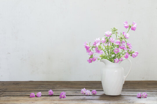 pink mallow in white jug on white background