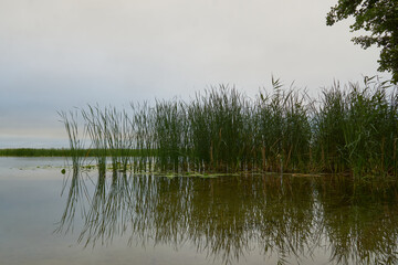 View of the Voronezh reservoir from the right bank on a summer morning