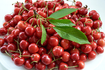 Cherry in a ceramic bowl. Summer harvest