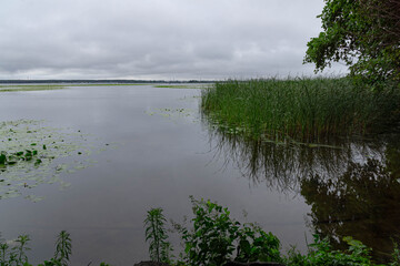 View of the Voronezh reservoir from the right bank on a summer morning