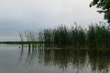 View of the Voronezh reservoir from the right bank on a summer morning