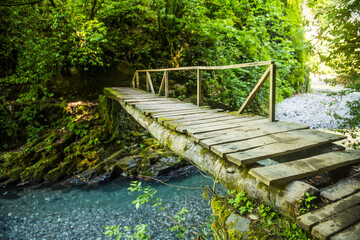 Old wooden bridge over a river in the rain forest
