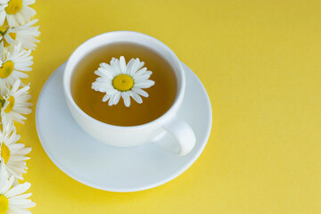 Herbal chamomile tea with fresh chamomile flowers in a white cup and saucer on a yellow background. Copy space.