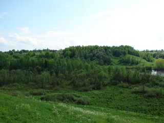 forest and sky