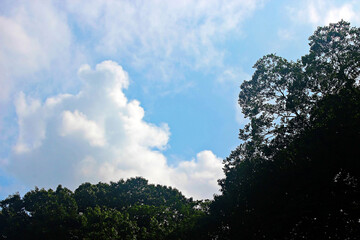 Obraz premium 산천물색