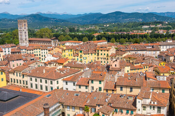 Fototapeta premium Roofs of Lucca, Toscana, Italy