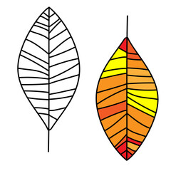 Leaves isolated on white background. Various shapes of green leaves of trees and plants. Elements for eco and bio logos.