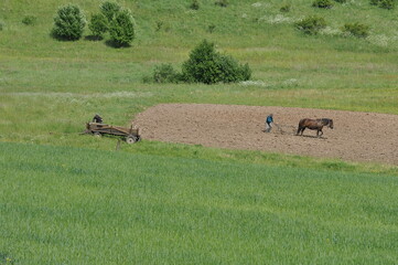 Orka. Prace polowe. Krajobraz. Polska - Mazury - Warmia. © Rafa
