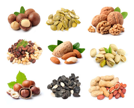 Collage of nuts on white backgrounds