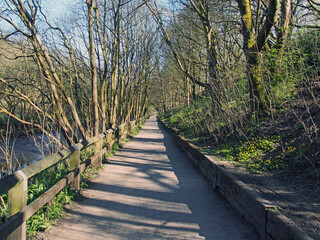 Obraz premium perspective view of a long straight pathway running alongside a river surrounded by sunlit trees in calderdale west yorkshire near hebden bridge
