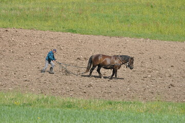 Prace polowe. Orka. Polska - Mazury - Warmia. © Rafa