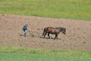 Prace polowe. Orka. Polska - Mazury - Warmia.