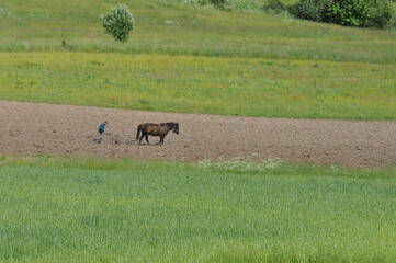 Polska - Mazury - Warmia. Orka. © Rafa