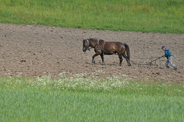 Polska - Mazury - Warmia. Orka. © Rafa