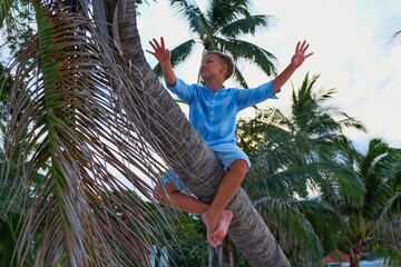 Absolutely happy barefoot blond сaucasian boy balancing while sitting on top of coconut palm in twilight sandy beach with blurred sunset background. Inspirational moment of ascent to top of palm tree.
