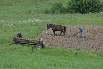 Warmia - orka © Rafa