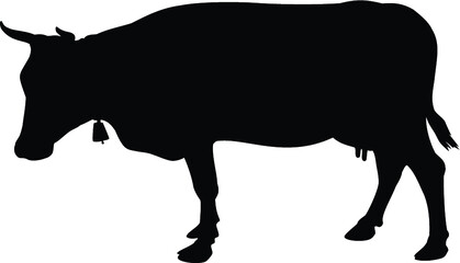 Obraz premium silhouette of a cow