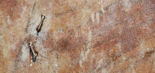 Texture of old rusty tin. Metal wall. The old garage. Background