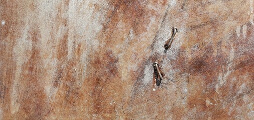 Texture of old rusty tin. Metal wall. The old garage. Background