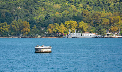 Part of the Bosphorus waterfront near Beykoz on the Asian coast of Istanbul. Military ships can be seen in the background
