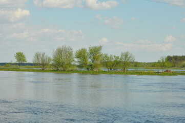 Polska - Podlasie. Krajobraz. Rzeka Narew.