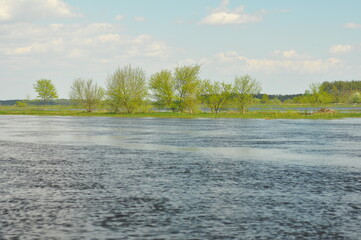 Rzeka Narew