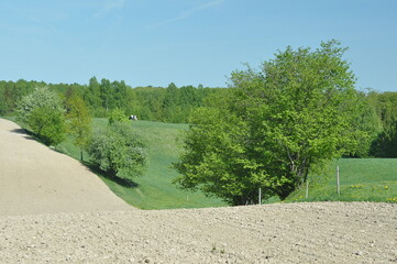 Polska - Mazury - Warmia. Krajobraz.