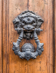 vintage lion head knocker on natural wood door close up