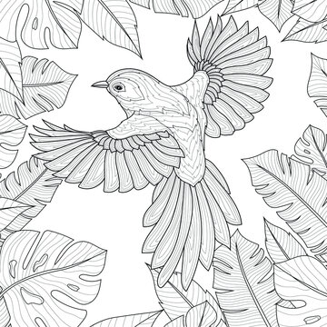 Bird surrounded by tropical leaves.Coloring book antistress for children and adults. Zen-tangle style.Black and white drawing