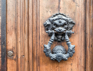 vintage lion head knocker on natural wood door close up
