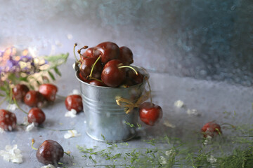 Still life with cherries in a small bucket