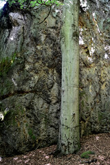 Sächsische Schweiz im Elbsandsteingebirge, Schrammsteine