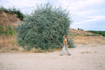 A man with a backpack walks along a sandy beach past a sprawling green tree.