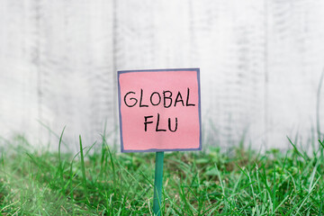 Text sign showing Global Flu. Business photo text Common communicable illness spreading over the...