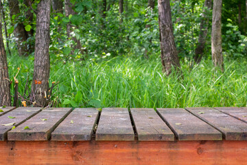 Wood flooring in the forest. Horizontal background.