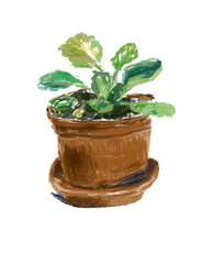 Fototapeta premium violet leaves in a brown pot, digital illustration