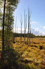 Obraz premium Polska - Mazury - Warmia. Krajobraz. 