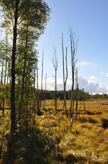 Obraz premium Polska - Mazury - Warmia. Krajobraz.