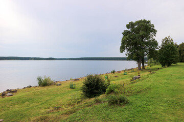 Beautiful and peaceful evening landscape with lake Seliger and trees from stolobny island near Ostashkov, Russia