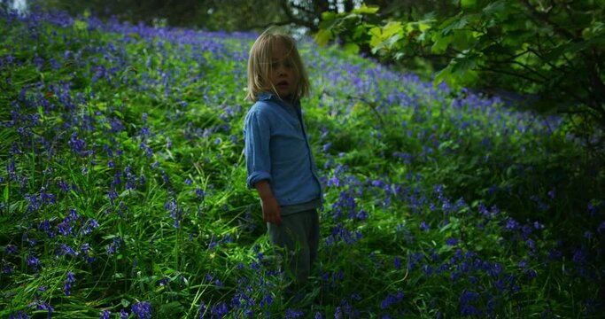 Preschooler walking and running in meadow of bluebells