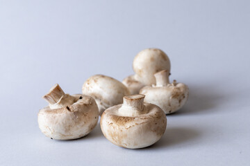 Mushrooms lies on a gray background. Champignons photographed at close range. . High quality photo