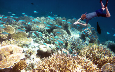 Naklejka na ściany i meble Maldives. Man with mask and tube at ocean and tropical fishes in corals...