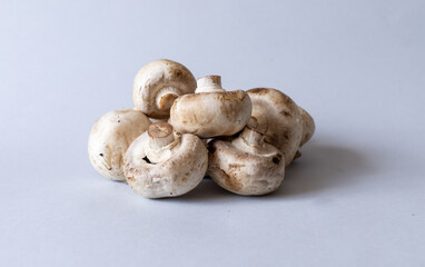 Mushrooms lies on a gray background. Champignons photographed at close range. . High quality photo
