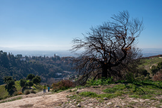 Calcination Bilder Durchsuchen 1,683 Archivfotos, und