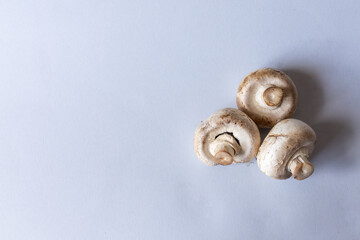 Mushrooms lies on a gray background. Champignons photographed at close range. . High quality photo